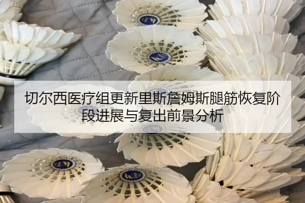 切尔西医疗组更新里斯詹姆斯腿筋恢复阶段进展与复出前景分析